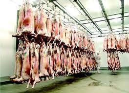 L'abattoir de Touba un joyau de plus de 11 milliards FCFA sera fonctionnel avant le 18 Safar 1435