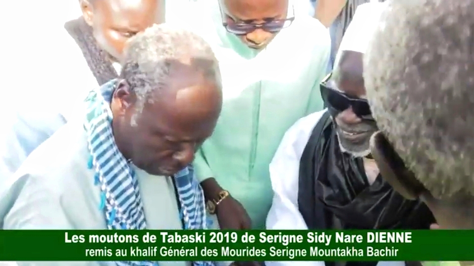 Tabaski 2019 : 240 moutons de Serigne Sidy Nare DIENNE au khalif Général des Mourides