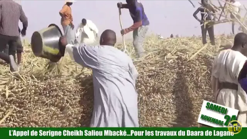 Travaux des Champs de Lagane : L'appel de S. Cheikh Saliou Mbacké